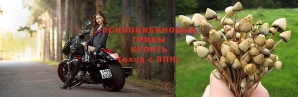 МДПВ Алзамай