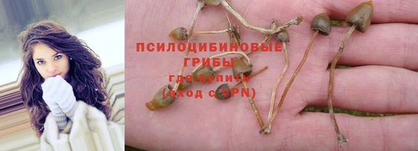 спиды Алексеевка