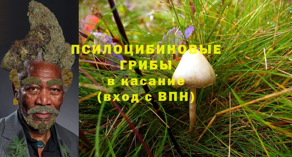 спиды Алексеевка