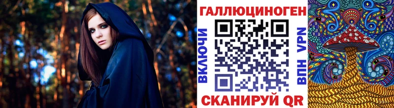 купить закладку Большой Камень Псилоцибиновые грибы Cubensis